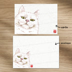 Chat-Te-Juge - Set de correspondance - Enveloppe, carte et sticker