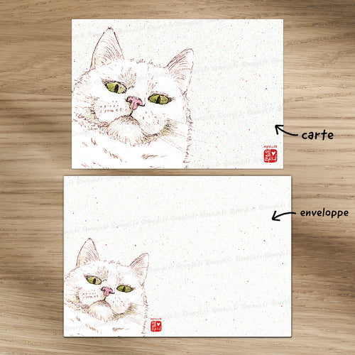 Chat-Te-Juge - Set de correspondance - Enveloppe, carte et sticker