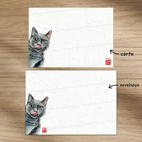 Chat gourmant - Set de correspondance - Enveloppe, carte et sticker