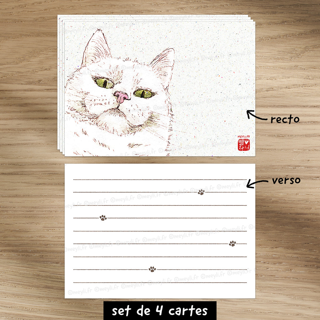 Chat-Te-Juge - Set de correspondance - Enveloppe, carte et sticker