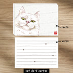 Chat-Te-Juge - Set de correspondance - Enveloppe, carte et sticker
