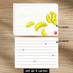 Chat banane - Set de correspondance - Enveloppe, carte et sticker