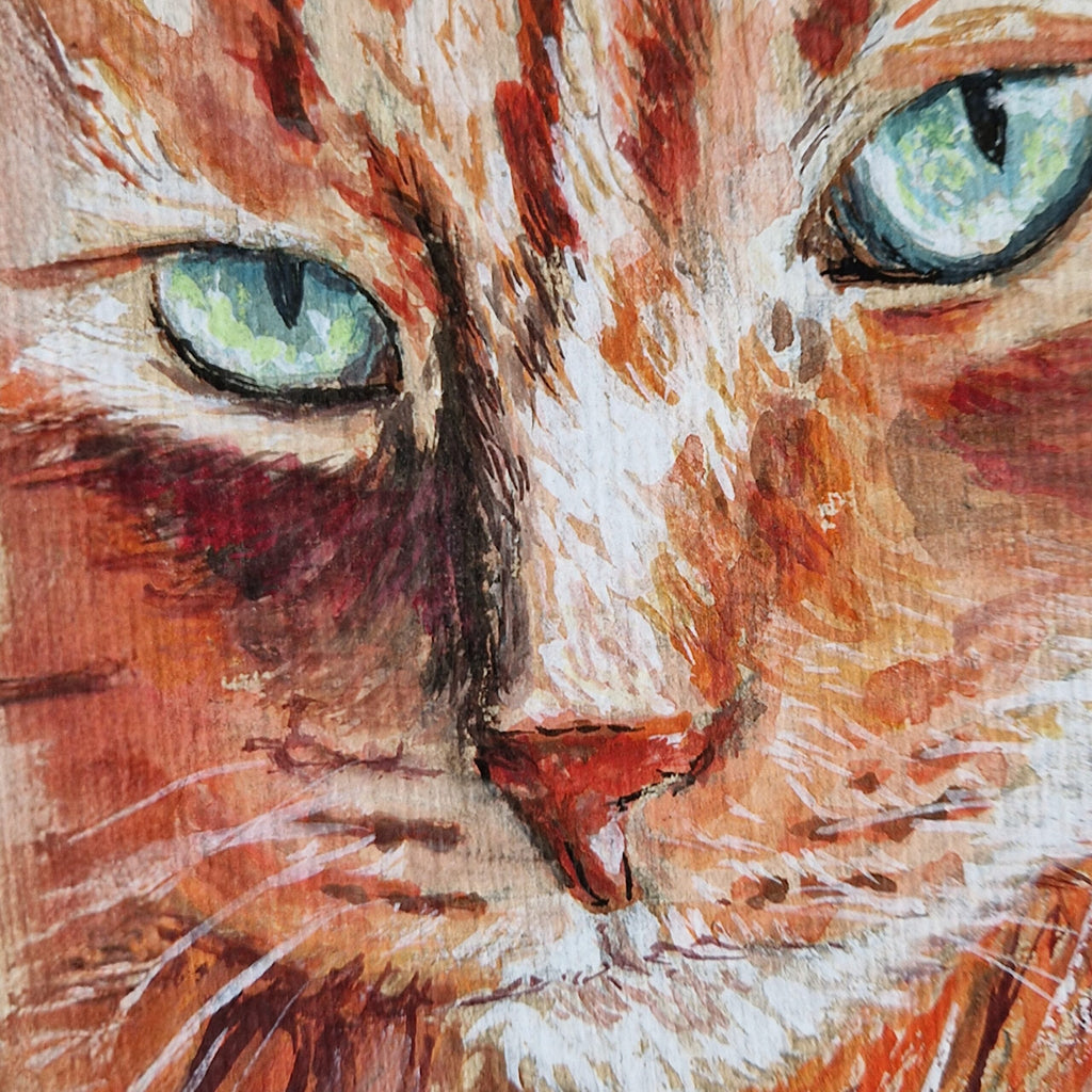 L'Enigme des Yeux Célestes - Illustration