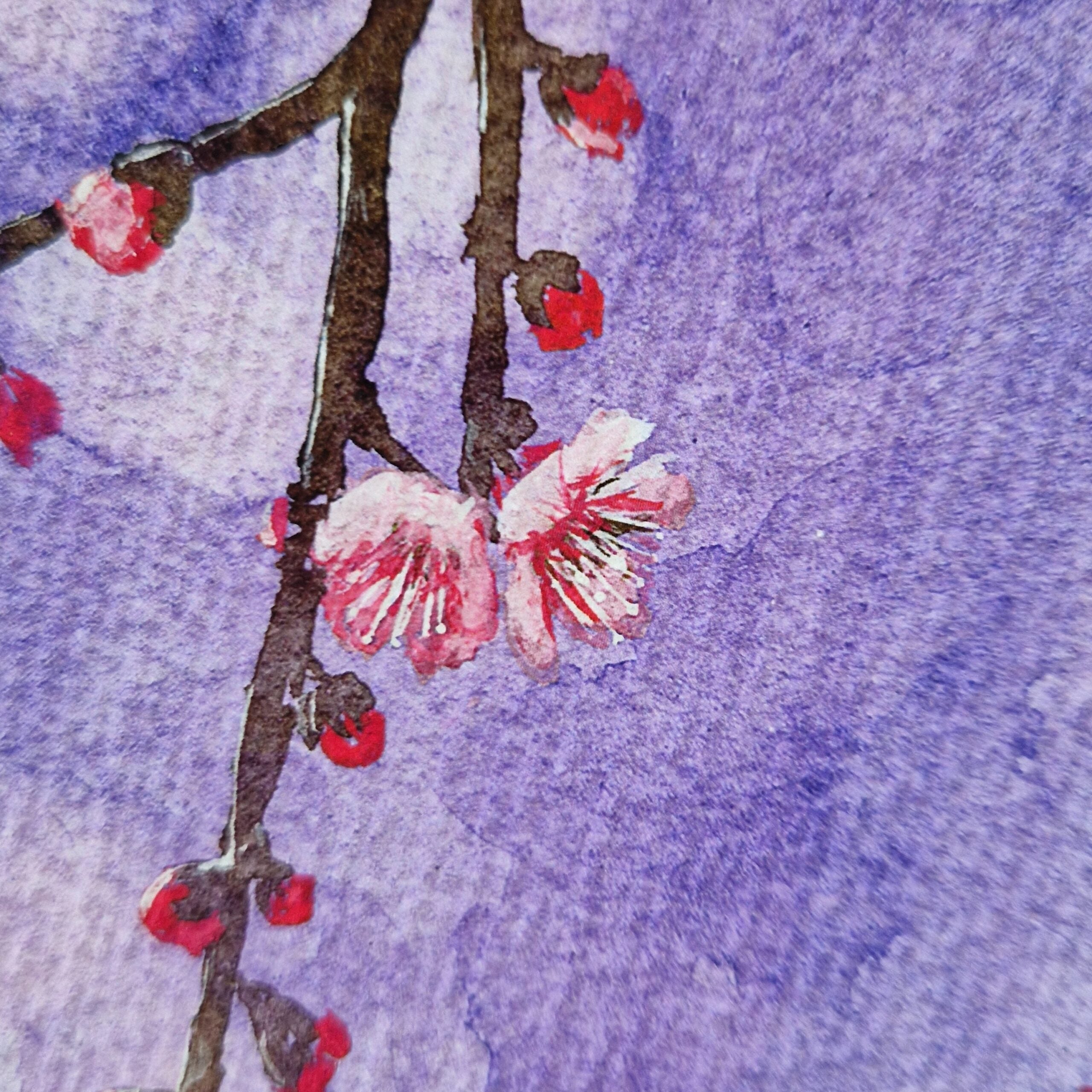 Fleurs de Prunier au Crépuscule - Illustration