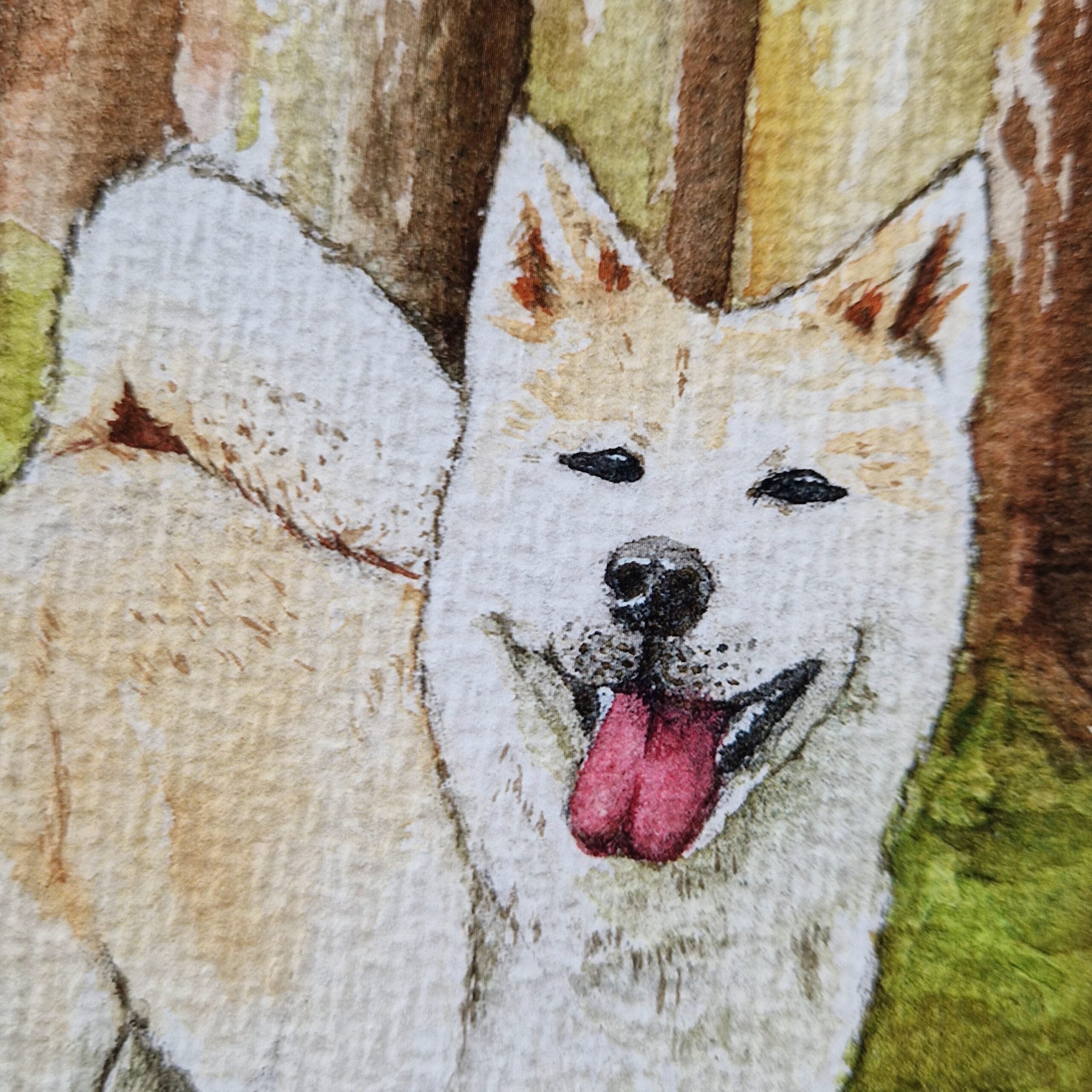 L'Akita qui fait sourire la forêt - Illustration