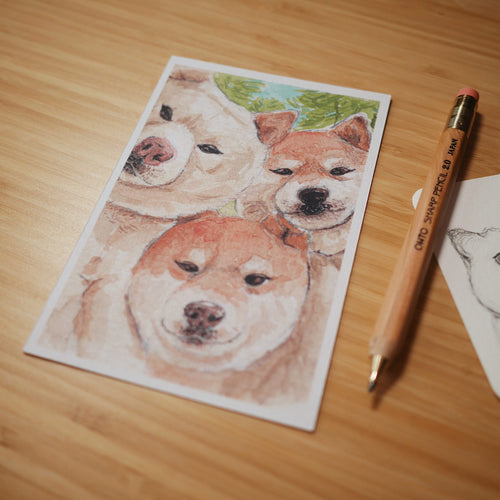 Carte Postale - Shiba