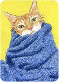 Tout propre et tout ébouriffé - Original Artist Card ACEO