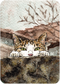 Chat cache-cache - Original Artist Card ACEO