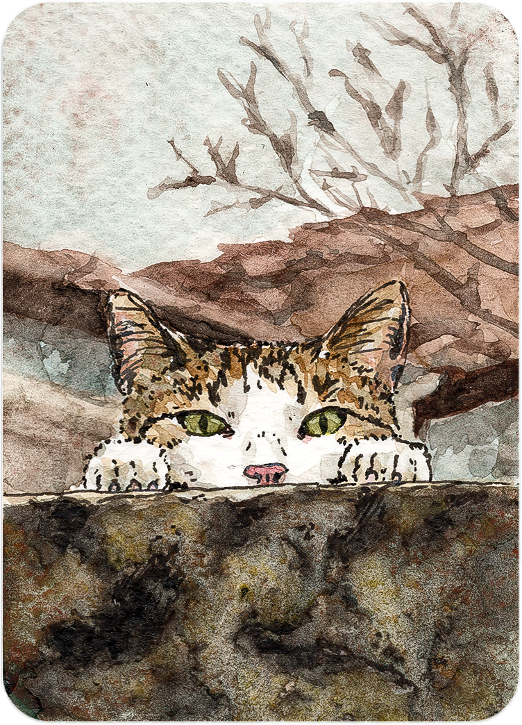 Chat cache-cache - Original Artist Card ACEO