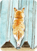 Sieste sur le toît - Original Artist Card ACEO