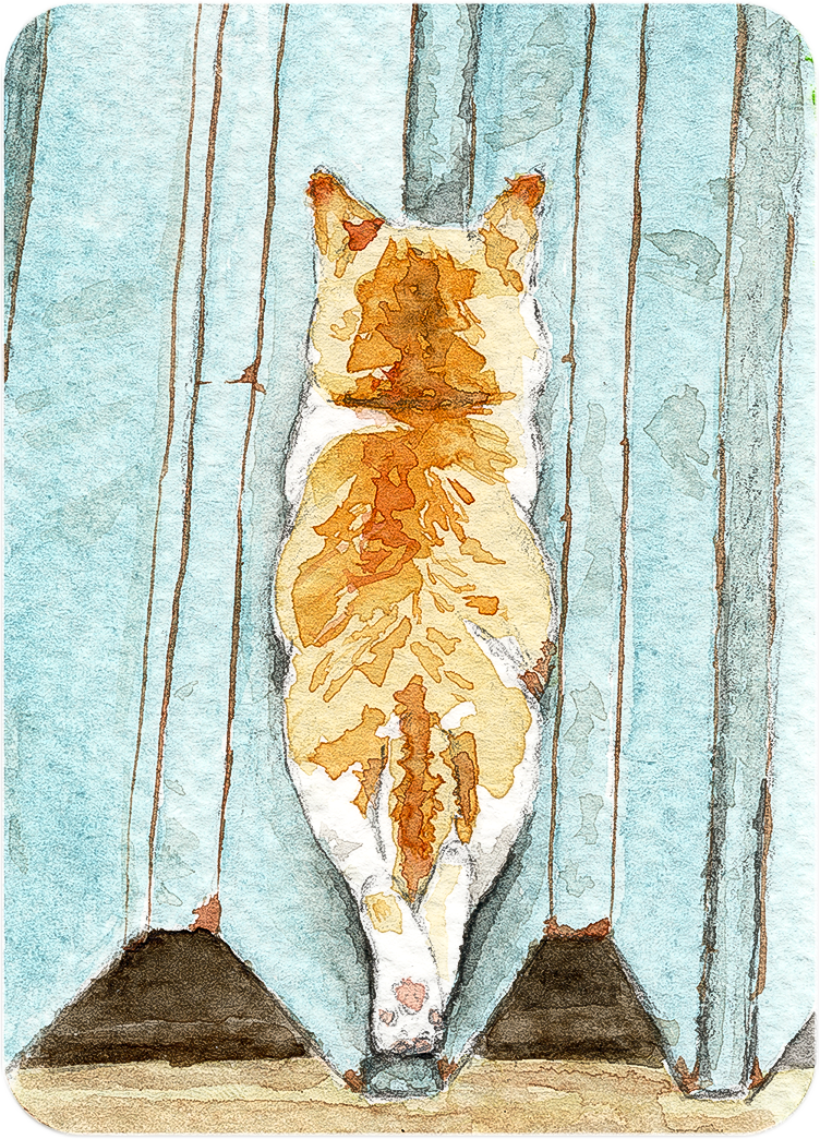 Sieste sur le toît - Original Artist Card ACEO