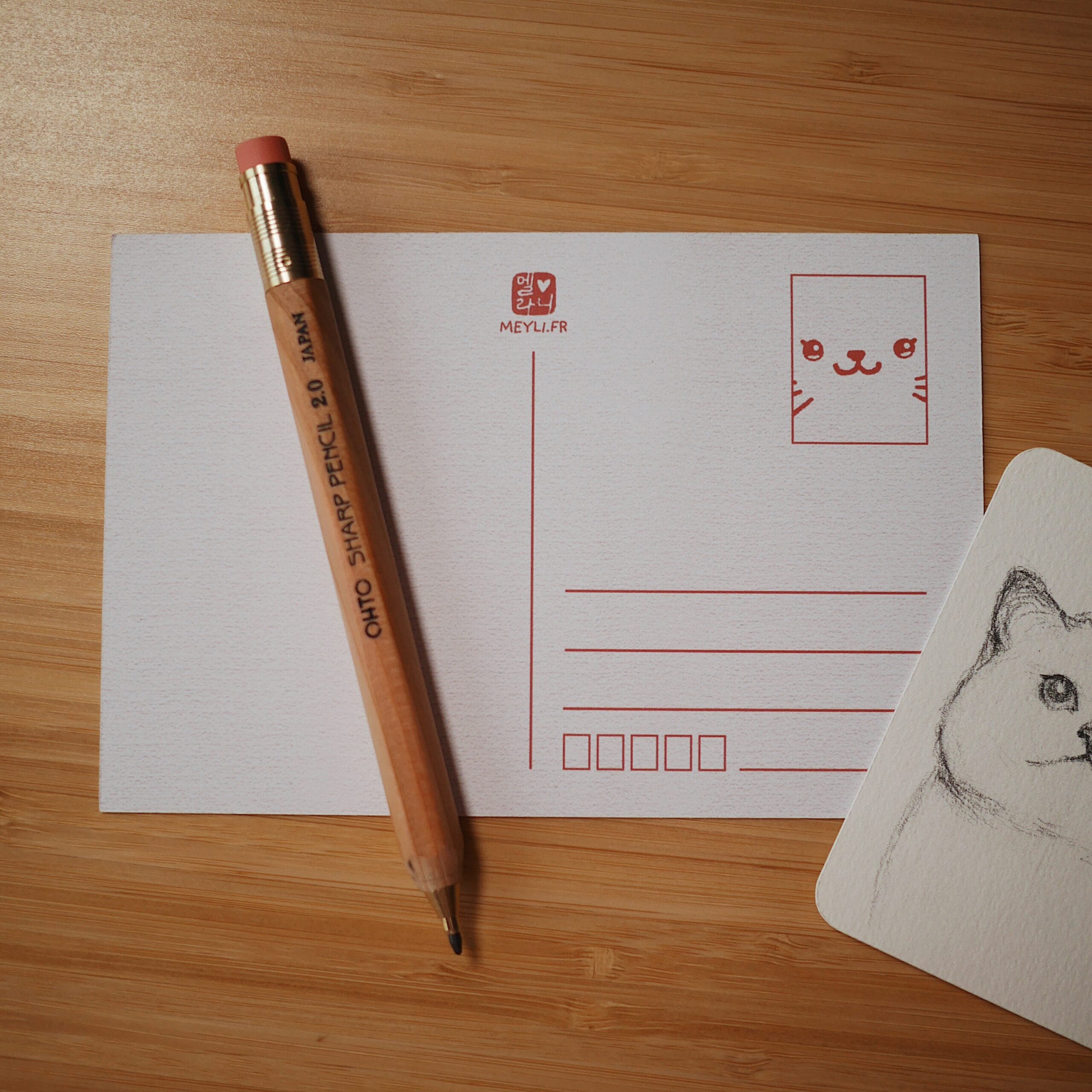 Carte Postale - Shiba