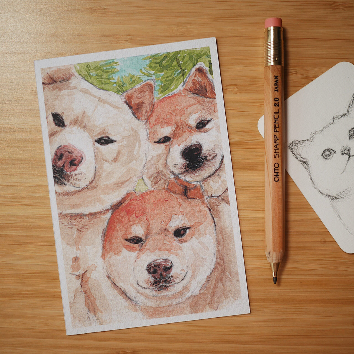 Carte Postale - Shiba