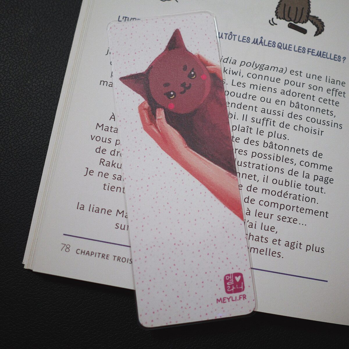 Marque-page - Mon petit chat (Tommy & Mey Li)