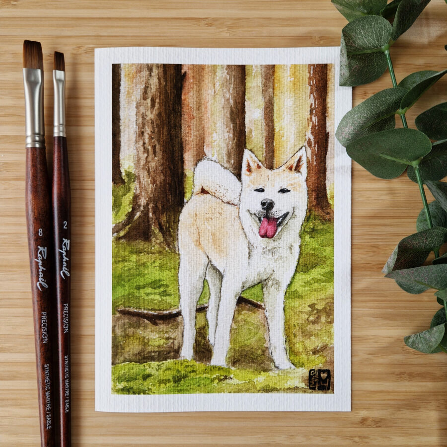 L'Akita qui fait sourire la forêt - Illustration